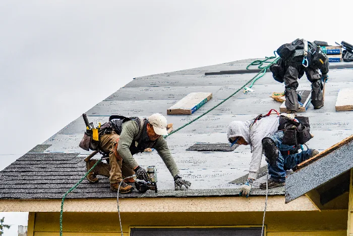 Close-up of freshly installed asphalt shingle roof